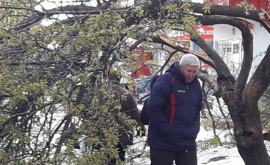 Crengile doborîte în urma intemperiei din aprilie riscă să ia foc