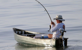 Mai mulți pescari au fost amendați