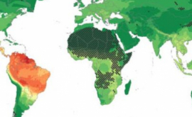 Savanții America de Sud reprezintă o amenințare pentru sănătatea umană