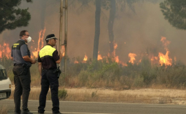 Incendii devastatoare în sudul Spaniei Mii de oameni au fost evacuați 