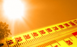 În România se anunță cod roșu de caniculă și temperaturi de pînă la 44 de grade