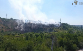 Апокалиптические кадры с места где сгорели 5 га сухих веток ВИДЕО