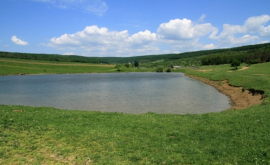 Călătorie prin Codri de la Tabăra pînă la Ţigăneşti Foto