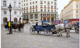 Trăsurile cu cai retrase de pe străzile Vienei din cauza caniculei