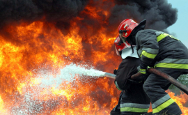  В Италии банда пожарников устраивала поджоги ради компенсации