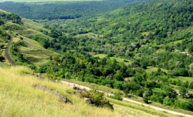 Охраняемые природные территории занимают менее 5 площади Молдовы