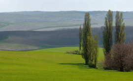 Prognoza meteo pentru 18 august