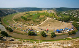 Afiș cultural pentru 20 august