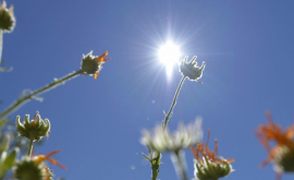 Prognoza meteo pentru 30 august