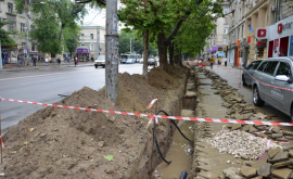 Только у нас Деревья на центральном бульваре не вписались в лунки