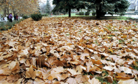 Prognoza meteo pentru 17 septembrie