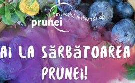 Locuitorii Moldovei sînt așteptați la Festivalul Național al Prunei