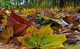 Prognoza meteo pentru 2 octombrie