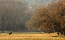 Prognoza meteo pentru 16 octombrie