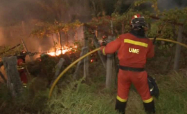 Doliu național de trei zile în Portugalia în urma incendiilor 