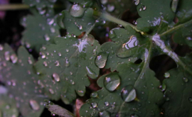 Prognoza meteo pentru 24 octombrie