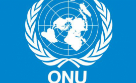 Atacurile cu arme chimice din Siria pe masa Consiliului de Securitate al ONU