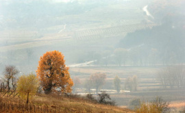 Prognoza meteo pentru 26 octombrie