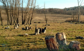 Prognoza meteo pentru 31 octombrie