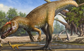 Cercetătorii au prins un rechin din epoca dinozaurilor