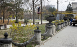 Capitala gata de sărbători FOTO