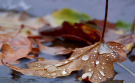 Prognoza meteo pentru 4 decembrie