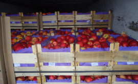 Rusia a interzis livrarea a încă 20 de tone de mere din Moldova
