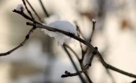 Prognoza meteo pentru 19 decembrie