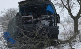 Автобус врезался в дерево на трассе ЛеушеньКишинёв