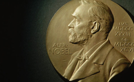 Premiului Nobel pentru Pace acordat Campania Internațională pentru Abolirea Armelor Nucleare