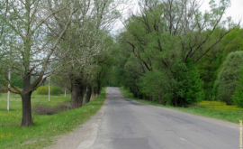 Дороги Молдовы ФОТО