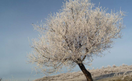 Prognoza meteo pentru 7 ianuarie