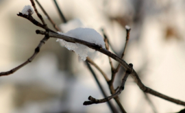 Prognoza meteo pentru 23 decembrie