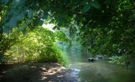 Starea rîurilor mici sa agravat în ultimii ani