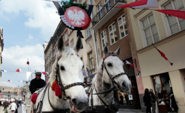 În Polonia au apărut șapte orașe noi