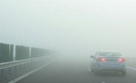Внимание В связи с туманом видимость на дорогах ограничена