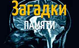 Сверхспособности Человек с феноменальной памятью