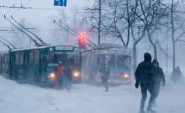 Жители столицы возмущены грязью в маршрутках ВИДЕО