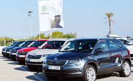 Doua modele SKODA au devenit concomitent Cel mai bun automobil al a 2018