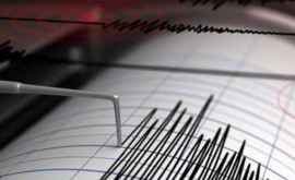 Trei cutremure în doar 24 de ore au avut loc în zona seismică Vrancea 