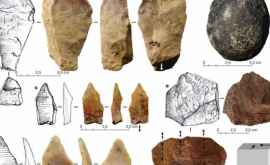 Найдены каменные орудия созданные 700 тысяч лет назад
