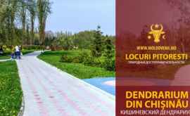 Parcul dendrologic de la Chişinău Dendrariul Slideshow