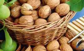 Урожай2018 грецкого ореха в Молдове будет ниже прошлогоднего