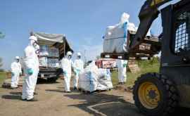 Un nou lot de pesticide evacuat din Republica Moldova FOTO