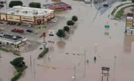 Peşti pe străzile din Texas în urma inundaţilor VIDEO