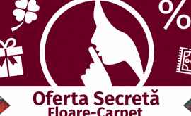 Oferta secretă pentru doamne și domnișoare de la FloareCarpet SA