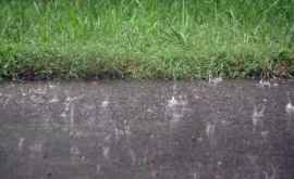 Ploile recente au cauzat daune de 14 milioane de lei agriculturii Găgăuziei