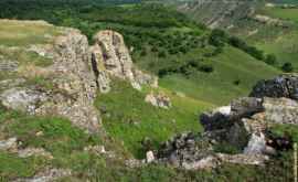 Ocolul Silvic La Castel văzut de la înălțime