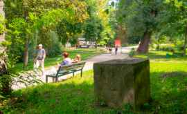 În parcul Valea Trandafirilor a apărut un harbuz imens FOTOVIDEO