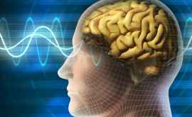 Oamenii de știință au aflat cum creierul trece de la o limbă la alta